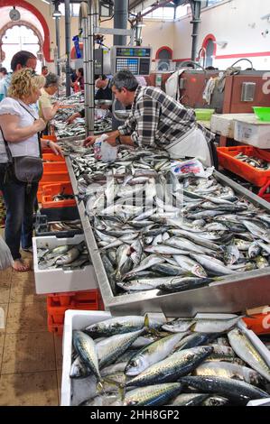 Fisch-Stall im indoor Fischmarkt, Loulé, Region Loulé, Algarve, Portugal Stockfoto