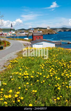 Die historische Neufundland Stadt Trinity auf Trinity Bay in der Nähe der nördlich des Bonavista Peninsula. Stockfoto