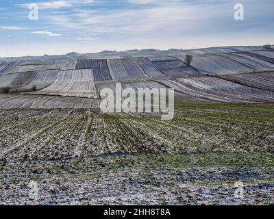 Schneebedecktes Ackerland. Polen. Western Roztocze. Felder mit mehreren Grenzen. Stockfoto