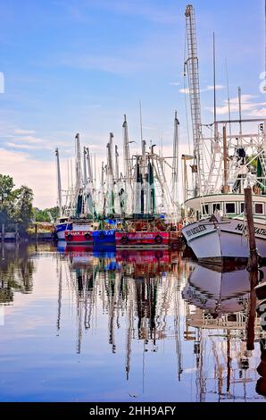 Die Garnelenboote sind am 17. September 2016 in Bayou La Batre, Alabama, abgebildet. Die Stadt ist bekannt als die Meeresfrüchtetropole von Alabama. Stockfoto