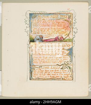 Songs of Innocence und of Experience: My Pretty Rose Tree, Ah! Sonnenblume, die Lilie ca. 1825 William Blake British. Songs of Innocence und of Experience: My Pretty Rose Tree, Ah! Sonnenblume, Die Lilie 347980 Stockfoto