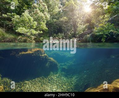 Fluss über und unter Wasser Oberfläche mit grüner Vegetation, Split-Level-Ansicht, Spanien, Galicien, Pontevedra Provinz, Tamuxe River Stockfoto