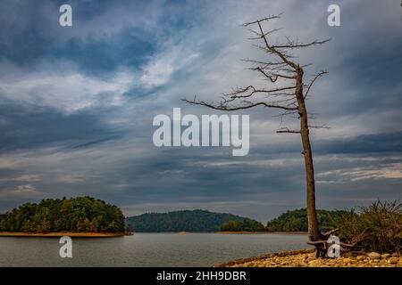 South Holston Lake wurde durch den Bau eines Staudamms der Tennessee Valley Authority über die South Fork des Holston River zur Stromerzeugung geschaffen Stockfoto