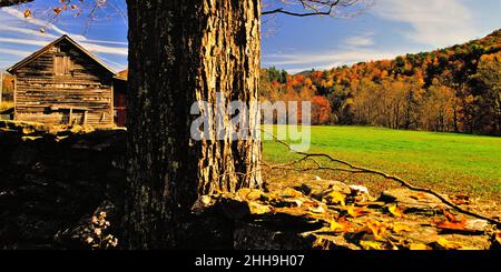 New England Steinmauer und Feld im Herbst Stockfoto
