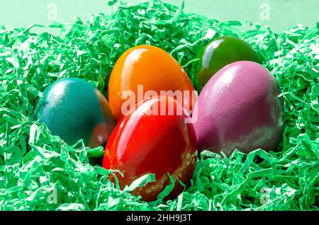 Mehrfarbige Ostereier im grünen Papiernest. Bunt gefärbte Paschaleier in einem Nest angeordnet, aus grünem geschreddertem Papier. Gruppe hart gekochter Eier. Stockfoto