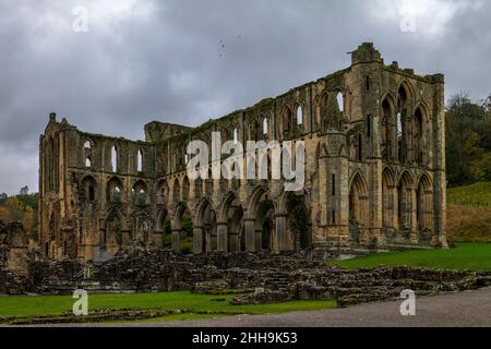 RIEVEAULX ABBEY [ZISTERZIENSERIN] (1132-1538) HELMSLEY ENGLAND VEREINIGTES KÖNIGREICH Stockfoto