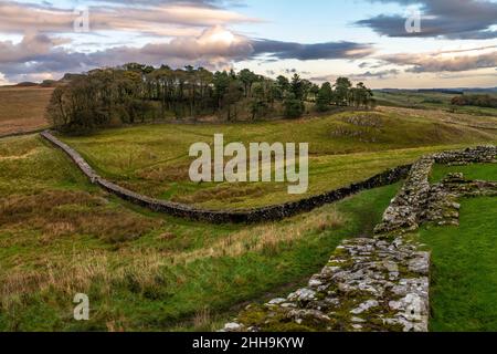 HOUSESTEADS ROMAN FORT (124 AD-409 AD) HADRIAN'S WAND (122 AD-128 AD) HEXHAM ENGLAND VEREINIGTES KÖNIGREICH Stockfoto
