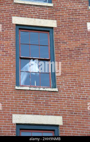Ein altes, weiß gestrichenes Pferd blickt aus einem Fenster in einem alten Backsteingebäude in Galena, IL, während der Pandemie 2020. Stockfoto