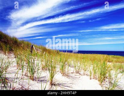 New England Strand im Sommer Stockfoto