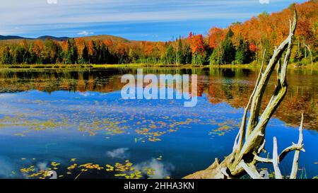 Ein See im Norden von Neuengland im Herbst Stockfoto