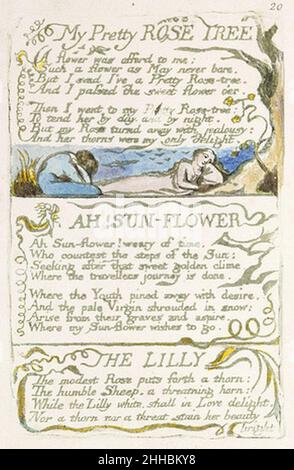 Songs of Innocence and of Experience, Kopie A, 1795 Objekt 50 My Pretty Rose Tree. Stockfoto