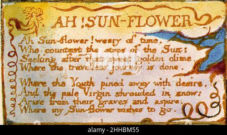 Songs of Innocence and of Experience, Kopie AA, 1826 Objekt 43 My Pretty Rose Tree (beschnitten). Stockfoto