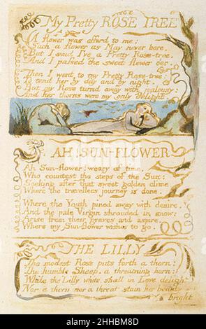 Songs of Innocence and of Experience, Kopie B, 1789, 1794 Objekt 52 My Pretty Rose Tree. Stockfoto