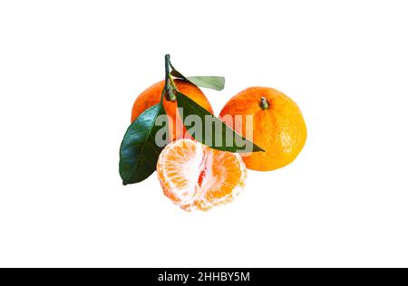 Mandarinen mit Blättern auf weißem Hintergrund Stockfoto