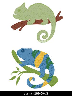 Stellen Sie Chamäleons auf Zweige ein, die auf weißem Hintergrund isoliert sind. Hand gezeichnet niedlichen Wildlife Cartoon Charakter grün und mehrfarbige Färbung. Doodle-Vektor-Illustration Stock Vektor