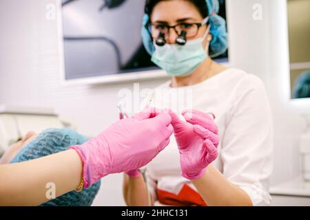 Verschwommenes Foto einer Stomatologie-Fachärztin in zahnmedizinischen Lupen-Ferngläsern, medizinischen Handschuhen und Maske, die einige notwendige Werkzeuge von einem Assistentinnen entnahmen Stockfoto