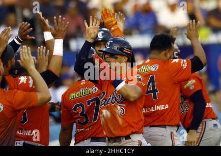 Valencia, Carabobo, Venezuela. 23rd Januar 2022. 23. Januar 2022. Karibikspieler feiern, während sie im Baseballspiel zwischen Caribes de AnzoÃtegui und Navegantes del Magallanes im Finale der venezolanischen Profi-Baseballliga 4th einen Lauf machen. Im Stadion Jose Bernardo Perez in der Stadt Valencia, Bundesstaat Carabobo. Foto: Juan Carlos Hernandez (Bild: © Juan Carlos Hernandez/ZUMA Press Wire) Stockfoto