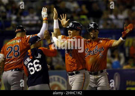 Valencia, Carabobo, Venezuela. 23rd Januar 2022. 23. Januar 2022. Karibikspieler feiern, während sie im Baseballspiel zwischen Caribes de AnzoÃtegui und Navegantes del Magallanes im Finale der venezolanischen Profi-Baseballliga 4th einen Lauf machen. Im Stadion Jose Bernardo Perez in der Stadt Valencia, Bundesstaat Carabobo. Foto: Juan Carlos Hernandez (Bild: © Juan Carlos Hernandez/ZUMA Press Wire) Stockfoto