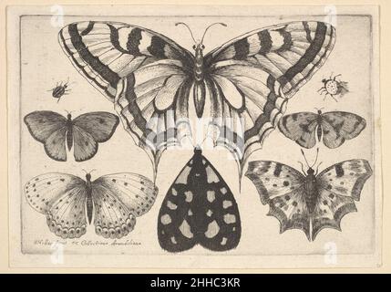 Fünf Schmetterlinge, eine Motte und zwei Käfer 1646 Wenceslaus Hollar Bohemian Ein großer Schwalbenschwanzschmetterling oben, mit zwei kleinen Käfer und vier Schmetterlingen mit offenen Flügeln links und rechts unten, flankierende Motte mit schwarzen gefalteten Flügeln, bedeckt mit hellen Flecken. Fünf Schmetterlinge, eine Motte und zwei Käfer 361550 Stockfoto