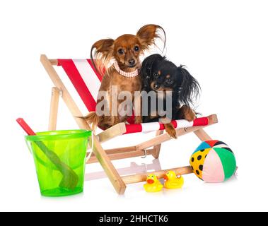 Russkiy Spielzeug vor weißem Hintergrund Stockfoto
