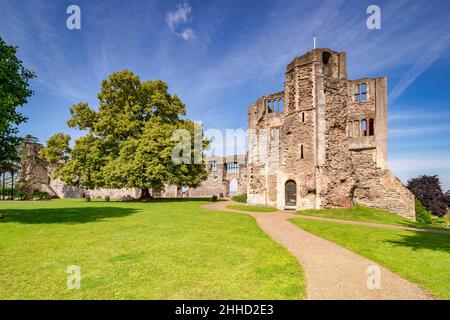 4. Juli 2019: Newark on Trent, Nottinghamshire, Großbritannien - das Schloss und das Gelände, frei für die Öffentlichkeit zugänglich. Laubbäume und grüner Rasen. Stockfoto