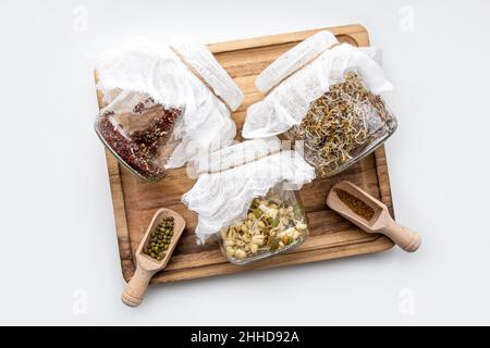 Verschiedene Samen Sprossen wachsen in Gläsern, gesunde vitaminreiche Lebensmittel Snack. Luzerne oder Alfalfa, Mungbohnensprossen, Brokkoli sprießen Samen in Gläsern. Stockfoto