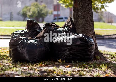 Große schwarze Säcke mit Netz und Blättern, die im Herbst in der Stadt gesammelt wurden Stockfoto