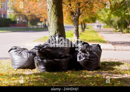 Große schwarze Säcke mit Netz und Blättern, die im Herbst in der Stadt gesammelt wurden Stockfoto