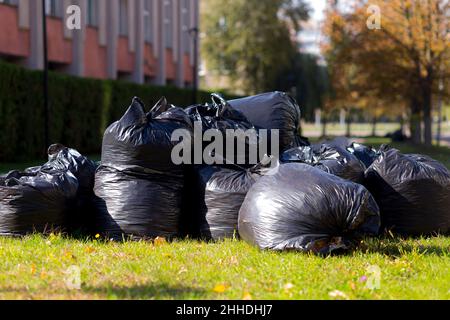 Große schwarze Säcke mit Netz und Blättern, die im Herbst in der Stadt gesammelt wurden Stockfoto