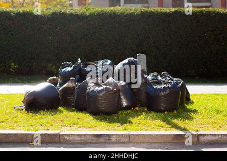 Große schwarze Säcke mit Netz und Blättern, die im Herbst in der Stadt gesammelt wurden Stockfoto