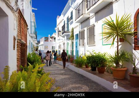 Straßen mit Pflanzen im historischen Zentrum der Stadt Frigiliana, Andalusien Stockfoto