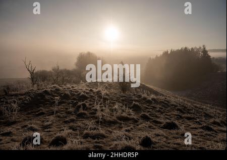 Rottweil, Deutschland. 24th Januar 2022. Die Morgensonne liegt im Morgennebel über dem Horizont. Kredit: Silas Stein/dpa/Alamy Live Nachrichten Stockfoto