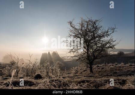 Rottweil, Deutschland. 24th Januar 2022. Die Morgensonne liegt im Morgennebel über dem Horizont. Kredit: Silas Stein/dpa/Alamy Live Nachrichten Stockfoto