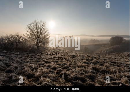 Rottweil, Deutschland. 24th Januar 2022. Die Morgensonne liegt im Morgennebel über dem Horizont. Kredit: Silas Stein/dpa/Alamy Live Nachrichten Stockfoto