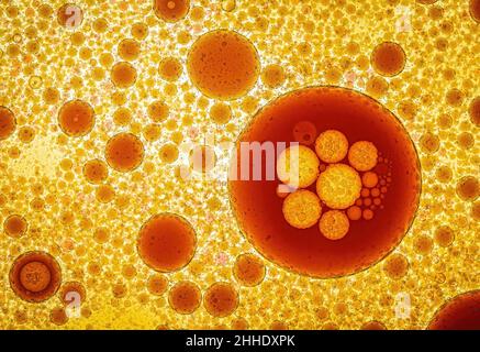 Braune Blasen in Flüssigkeit Stockfoto