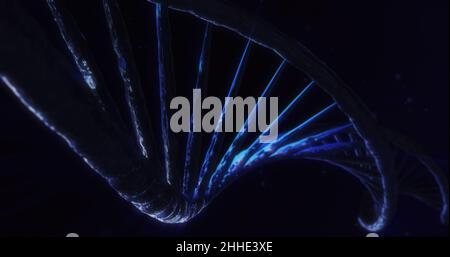 Doppelte Helix. Spiral DNA Struktur in blau. Abstrakter Hintergrund. 3D Abbildung. Medizinisches Forschungskonzept. Stockfoto