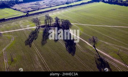 Winter Luftbild von Bäumen und ihren Schatten auf einem Feld, Coldblow Farm, Ripple, Kent Stockfoto