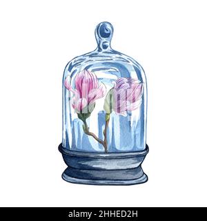 Sammlung von Florarien, Aquarell-Glasflaschen mit Blumen im Inneren, handgezeichnet isoliert auf weißem Hintergrund. Aquarellglas mit rosa Magnolie f Stockfoto