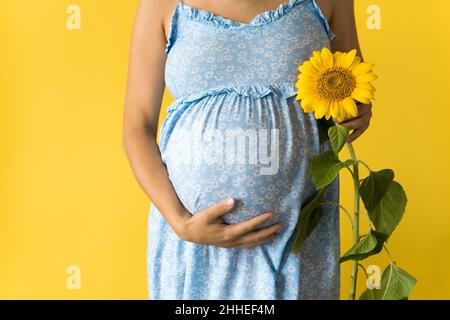 Mutterschaft, Mutterschaft, Weiblichkeit, heißer Sommer, Natur, Menschen - Croped Portrait schwanger unkenntlich Frau in floralen blauen Kleid halten große frisch Stockfoto