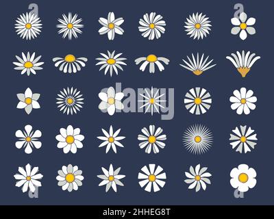 Kamillenkollektion. Botanische Blumen setzen gesunde stilisierte herbas cartoonic Blüte chamomiles jüngsten Vektor flache Bilder isoliert Stock Vektor