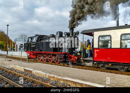 Dampflokomotive Mit Personenzug Der Baederbahn Molli Vom Bahnhof Heiligendamm, Mecklenburg-Vorpommern, Deutschland, Europa Stockfoto