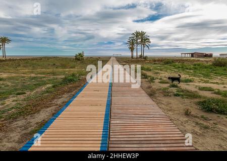 Strandpromenade zum Meer mit Palmen an einem Sandstrand, Provinz Garrucha Almeria, Andalucía, Spanien Stockfoto