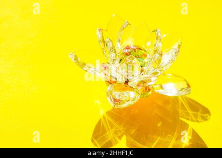 Kristalllotusblume auf einem gelben sonnigen Tisch. Stockfoto