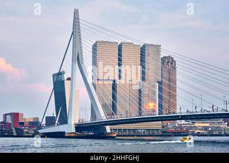 Rotterdam Stadtbild und Erasmusbrücke über Nieuwe Maas bei Sonnenuntergang. Rotterdam, Niederlande Stockfoto