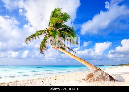 Riviera Maya, Mexiko - Playa Paraiso (Paradise Beach) im sonnigen Sommer wunderschöne tropische karibikküste von Tulum in Quintana Roo, Cancun. Stockfoto