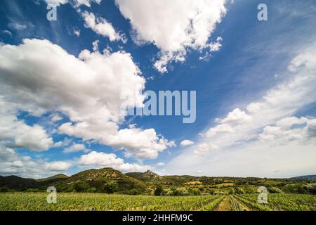 Schloss Aguilar mit Weinberg Corbière an einem sonnigen Frühlingstag in Aude, Frankreich Stockfoto