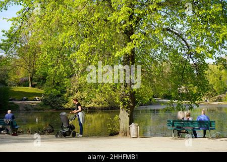 Der öffentliche Hofgarten in Düsseldorf mit schönen alten Bäumen. Der älteste Teil des Parks wurde 1769 gegründet. Es ist beliebt bei Jung und Alt. Stockfoto