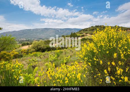 Corbière Weinregion Rolling Landscape an einem sonnigen >Frühlingstag in Aude, Frankreich Stockfoto