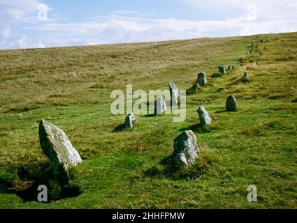 Schaufel Die Vorhistorische Steinreihe 4 Herunter. Blick nach Süden bergauf auf die Doppelreihe, die über den Kamm des Hügels entäuschend ist. Dartmoor, Devon Stockfoto