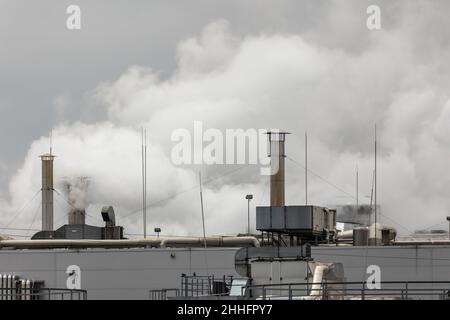 Dampfstöße, die aus Schornsteinen auf dem Dach einer Industrieanlage kommen. Aufnahme an einem bewölkten Tag, gleichmäßiges und weiches Licht. Stockfoto